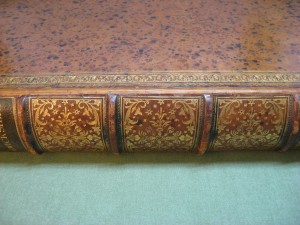 Relaid Spine